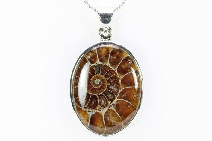 Fossil Ammonite Pendant - Million Years Old #240282